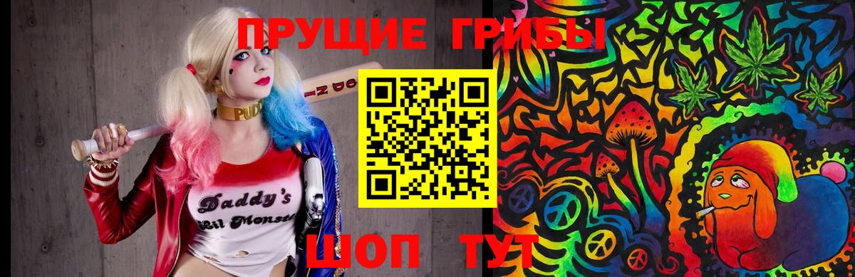 Галлюциногенные грибы Psilocybine cubensis Комсомольск-на-Амуре